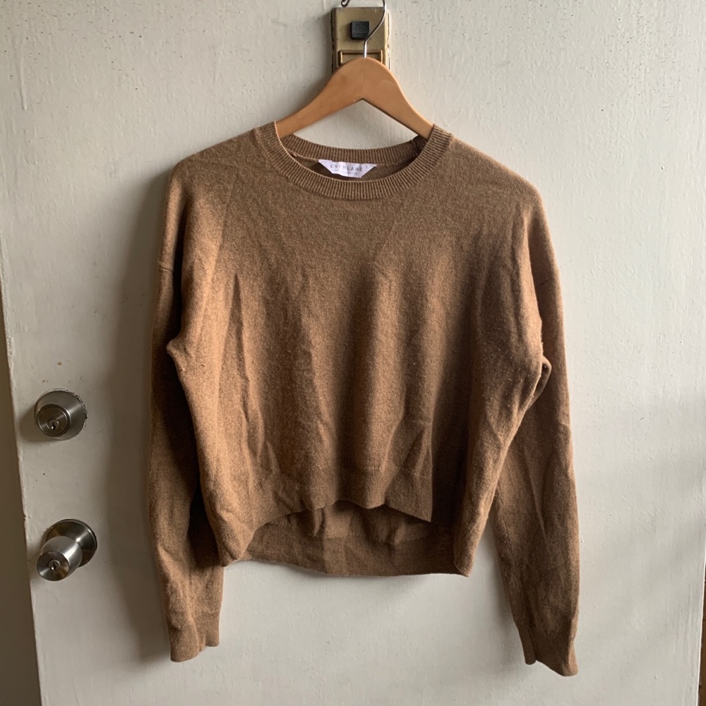 Everlane Cropped Cashmere Crew Discontinued!!